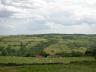 イギリスの農村景観(放牧地とヘッジロー)